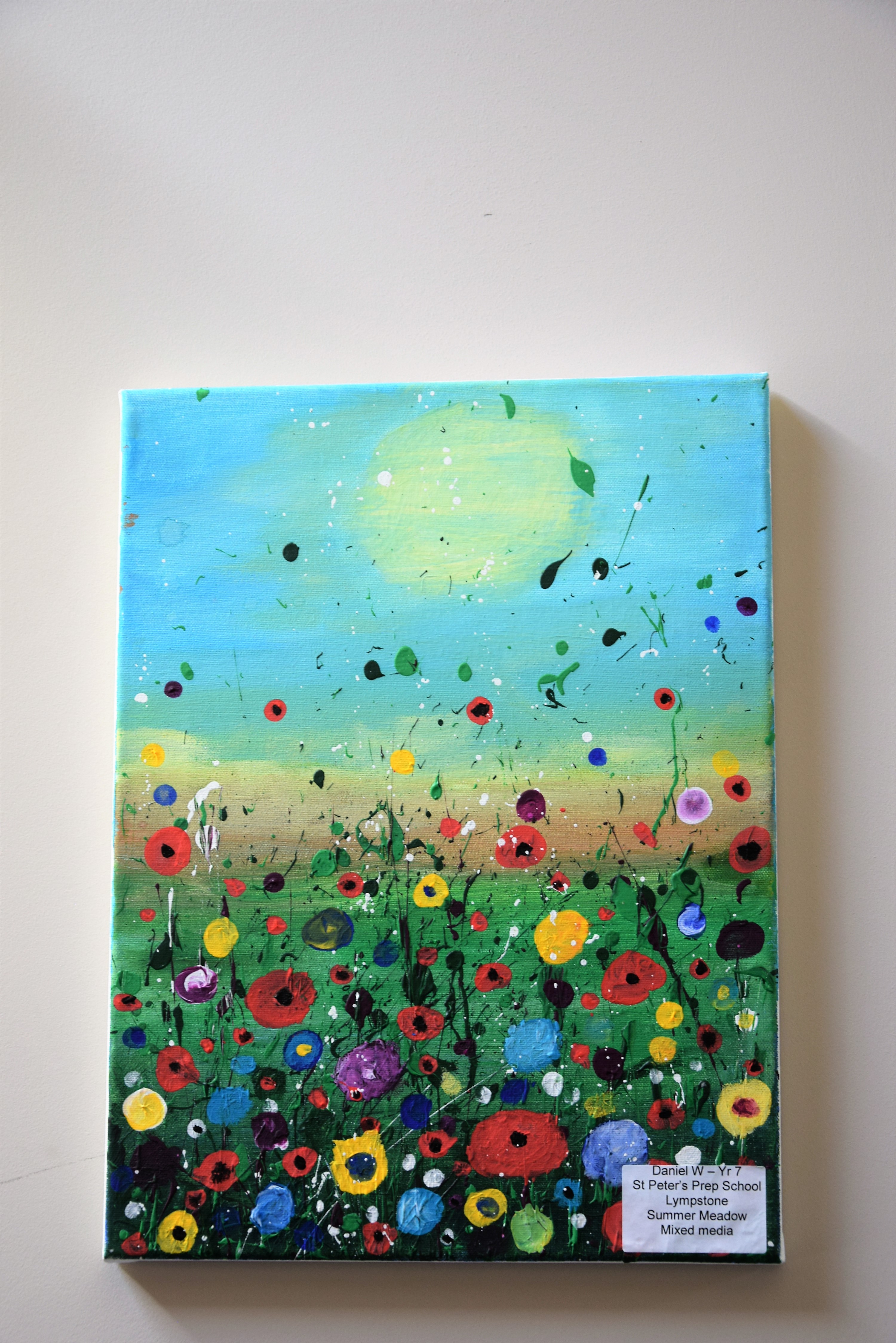 SATIPS 2019 Artwork on Display